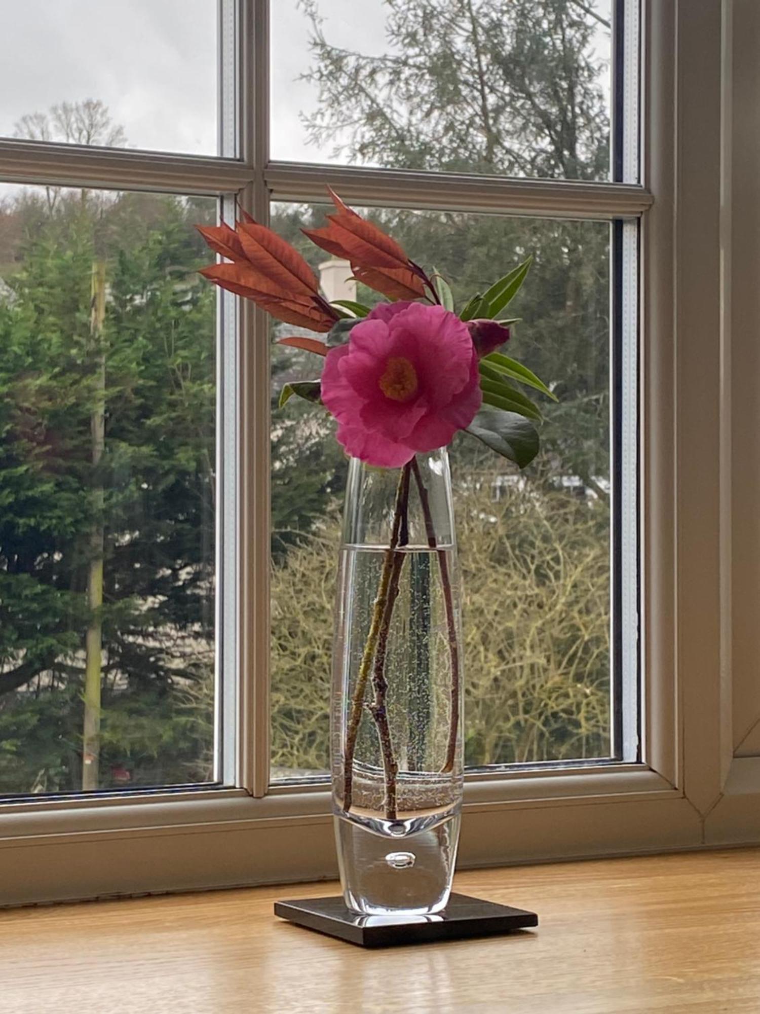Lynwood House Bed And Breakfast Tregoney Esterno foto